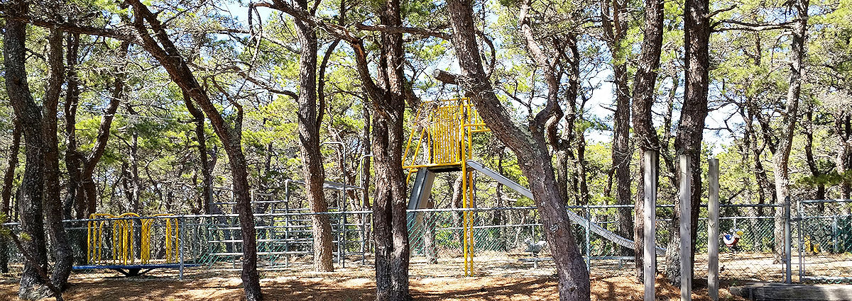 Kids especially love the whirl and monkey bars on our Cape Cod campgrounds playground