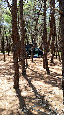 Cape Cod camping in a van or pop-up trailer at North of Highland