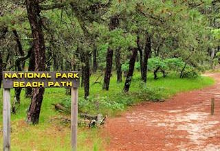 photo of the Cape Cod National Seashore Beach path leading from North of Highland Camping Area to Head of the Meadow Beach
