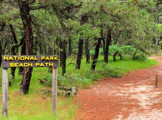 photo of the Cape Cod National Seashore beach path to Head of the Meadow Beach from North of Highland Camping Area