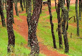 photo showing what it is like to be camping Cape Cod's North of Highland Camping Area